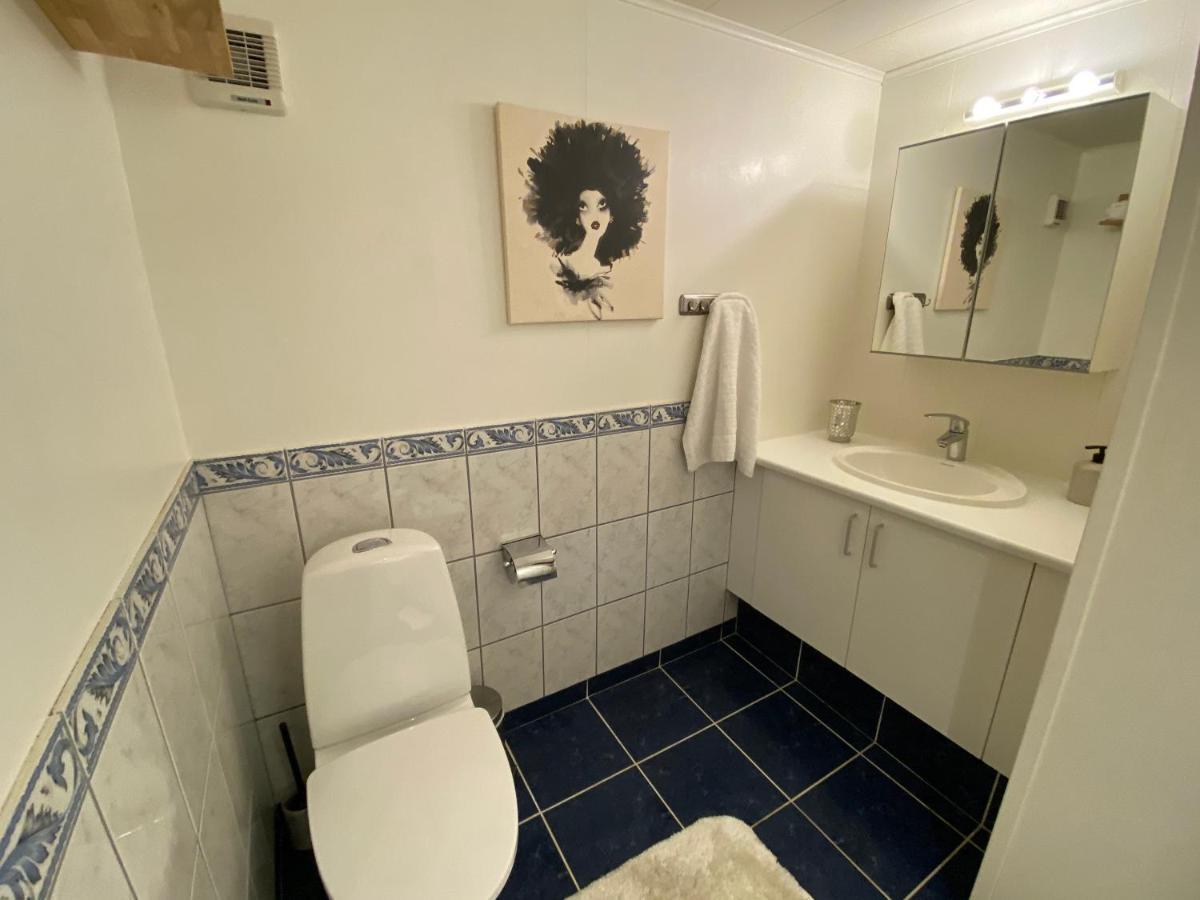 Perfect Apartment In The Heart Of レイキャヴィーク エクステリア 写真